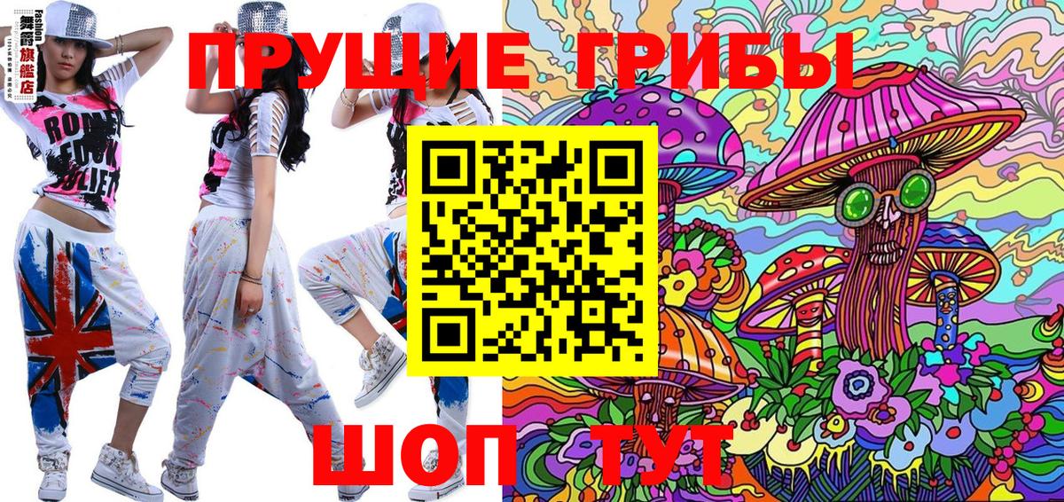 Псилоцибиновые грибы GOLDEN TEACHER Новотроицк