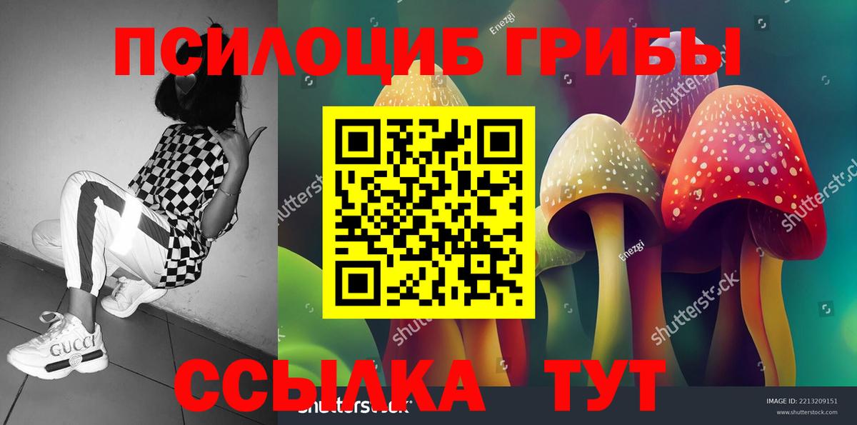 где купить наркотик  Галлюциногенные грибы мухоморы  Вход с VPN  Новотроицк  Псилоцибиновые грибы Magic Shrooms 